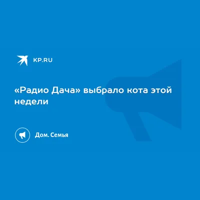 Усатые и хвостатые: как прошло награждение популярного интернет-конкурса