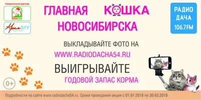 Радио Дача выбирает главную кошку страны!