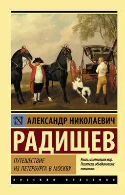 Круизный речной теплоход «Александр Радищев»: описание, история, владелец,  фото, отзывы, новости