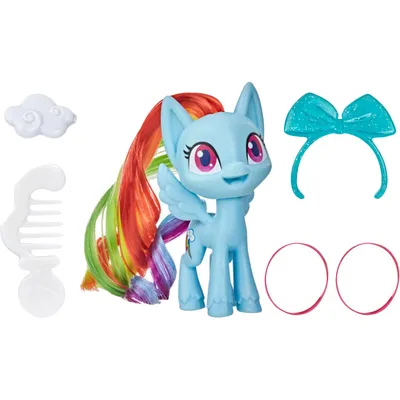Игровой набор Hasbro My Little Pony Радуга Дэш (F1794) купить в Киеве,  Украине | MAUDAU: цена, отзывы, характеристики