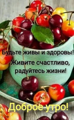 Пин от пользователя Taisija 🇷🇺 на доске КАРТИНКИ | Доброе утро, Милые  открытки, Смешные поздравительные открытки