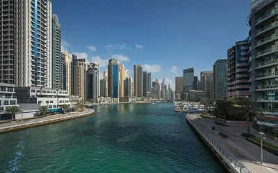 Дубай Марина — Википедия