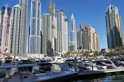 Отдых в Dubai Marina — самый «пляжный» район Дубая – СарниNews.City