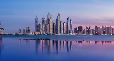 https://goldenbee.estate/ru/blog/obzor-dubaj-marina