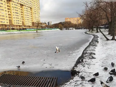 Коммунарка и Мосрентген - Вечер в любимом районе!😍 Фото:  life_in_kommunarka | Facebook