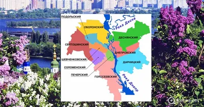 Полиция назвала районы Киева, в которых больше всего пьяных водителей |  Журнал Большого Города