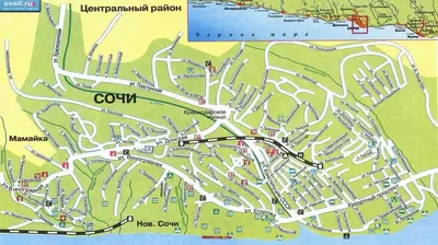 Где в Сочи остановиться туристу: лучшие районы курорта | Travel•Blender в  России