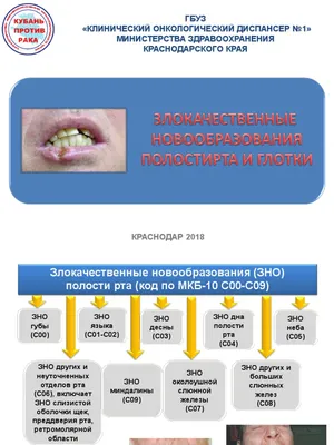 Опухоли ротовой полости у собак и кошек: лечение, диагностика, фото