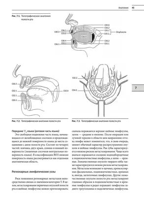 Рак ротовой полости и языка - Хемотека