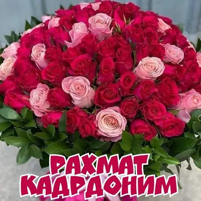 Pin by Максуда Каримова on Рахмат сизга кадрдоним | Happy birthday to you,  Floral wreath, Floral