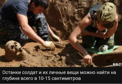 Раскопки в местах боёв отложены | Победа РФ | Новость от 10.05.2020
