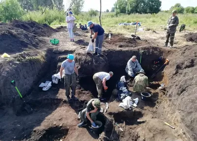 Как работают современные археологи: раскопки на месте Судбищенской битвы —  VATNIKSTAN
