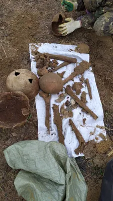 Посмотрите на уникальные находки археологов на месте Куликовской битвы |  РБК Life
