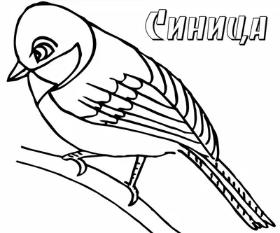Раскраски птицы зимующие для 3 лет (49 фото) » рисунки для срисовки на  Газ-квас.ком