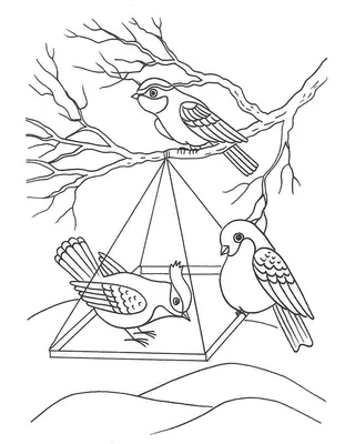 Искусство творить.: Зимующие птицы. Раскраска.