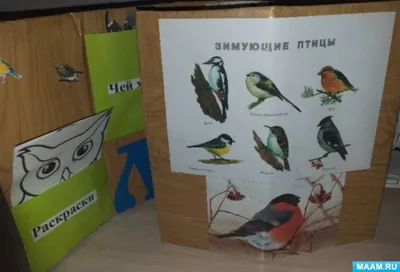 Раскраски птички для 7 лет (51 фото) » рисунки для срисовки на Газ-квас.ком