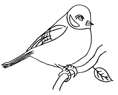 Раскраски: зимующие птицы для детей
