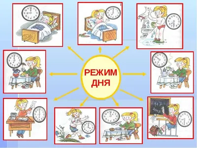 Картинки по запросу распорядок дня школьника в картинках скачать | Школьники,  Лэпбук, Школьные темы