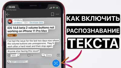 Как включить распознавание текста в iOS 15 на iPhone? - YouTube