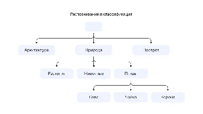 Компьютерное зрение: от распознавания текста до изучения космоса | Yandex  Cloud