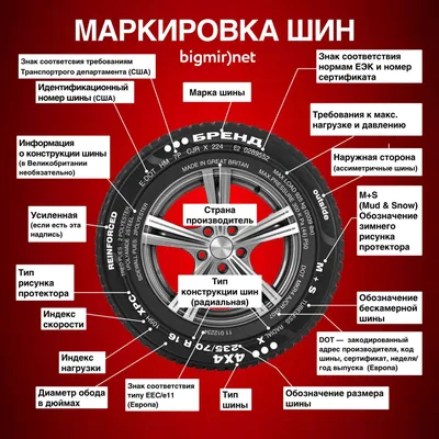 Расшифровка показателей анализа состава тела