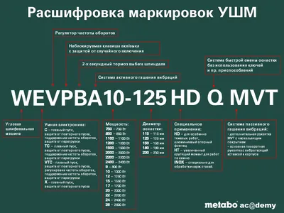 Расшифровка шенгенская виза - обозначения, отметки, срок, что значит в  Ижевске