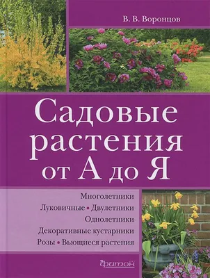 Растения для зимнего сада: выбор и оформление, лучшие стили – блог  интернет-магазина Порядок.ру