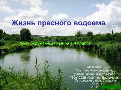 PPT - Жизнь пресного водоема PowerPoint Presentation - ID:4772289