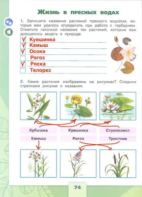 Окружающий мир 4 класс. Рабочая тетрадь Часть 1. ФГОС - Межрегиональный  Центр «Глобус»