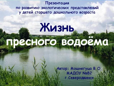 Окружающий мир. Жизнь пресного водоема. 1-4 классы: Таблица-плакат 420х297  – купить по цене: 28,80 руб. в интернет-магазине УчМаг