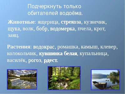 какие это растения жизни в пресных водах, помогите пожалуйста срочно на  28:12:15 пожалуйста - Школьные Знания.com