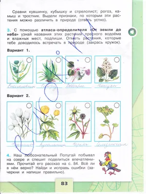 НОД с детьми старшего дошкольного возраста по теме \"Там, где живет водяной\"