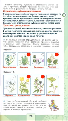 Презентация по окружающему миру \"Жизнь пресного водоема\"