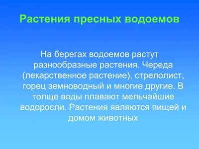 Строение водорослей, подготовка к ЕГЭ по биологии