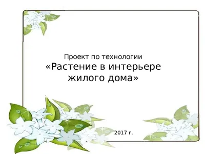 Творческий проект \"Растение в интерьере жилого дома\" | Рукоделие и  кулинария для дома