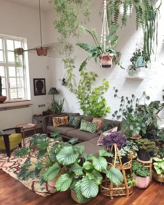 Растения в интерьере жилого дома | Смотреть 66 идеи на фото бесплатно