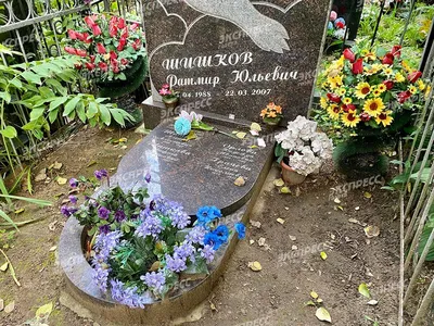 Как найти могилу Ратмира Шишкова: где находится, фото могилы - Экспресс  газета