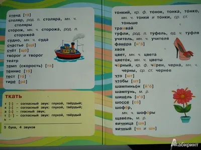 Звуковой анализ слов для дошкольников. Блог Лого-Эксперт