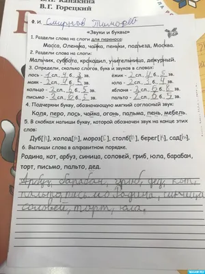 Из чего же сделаны наши тюльпаны... Ботанический разбор цветка: Идеи и  вдохновение в журнале Ярмарки Мастеров | Тюльпаны, Цветы из бумажных  салфеток, Пособия по цветам