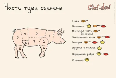 Разделка туши говядины и какую часть выбрать