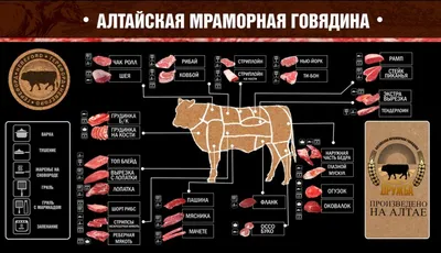 Для Фарша Какую Часть Говядины Брать - 61 фото