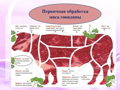 Отличие различных типов мясо - МЯСНОЙ КЛУБ: всё о технологиях, инновациях,  оборудовании, проблемах и решениях колбасного производства, мясопереработки  и заменителях мяса.