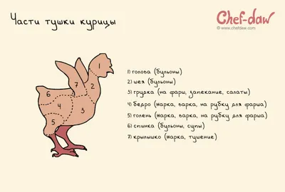 Комплект плакатов «Механическая кулинарная обработка продуктов» 20  плакатов, 59х84 см, А1, двухстороннее ламинирование - Компания ПАРТНЕР |  Купить выгодно. Короткие сроки отгрузки, наличие, гарантия, по 465 и 590  приказу. Доставка по России. Производство