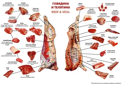 Говядина, Тушь, Мясо