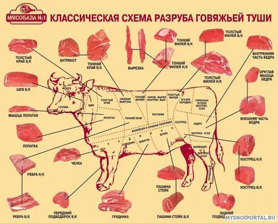 Отличие различных типов мясо - МЯСНОЙ КЛУБ: всё о технологиях, инновациях,  оборудовании, проблемах и решениях колбасного производства, мясопереработки  и заменителях мяса.