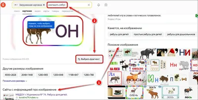 С этой простой загадкой не справляются даже математики. Проверьте себя |  РБК Life