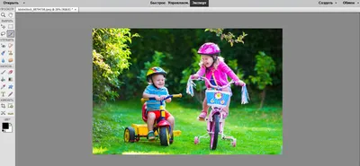 https://helpx.adobe.com/ru/photoshop-elements/using/making-selections.html