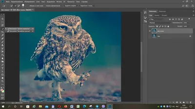 Как работать с пером в Adobe Photoshop | Фотосклад.Эксперт | Дзен