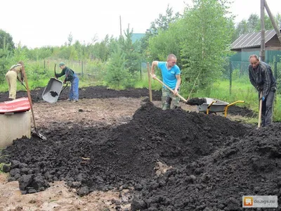 Разнорабочие на дачу в Москве и области - от 300 руб/час