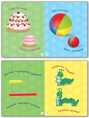 Книжка-картинка «Такие разные размеры» для детей до 3 лет купить онлайн |  Вако